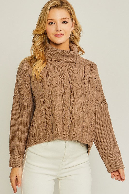 Turtle Neck Sweater